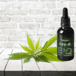 CBD-Öl 10% 20ml